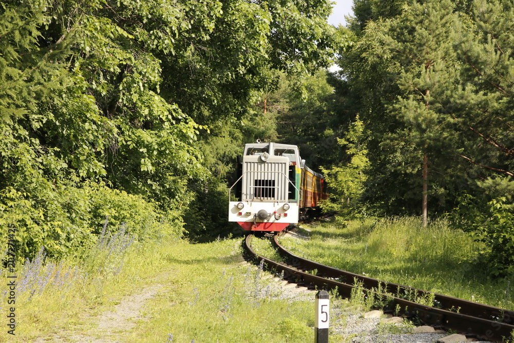 Naklejka premium Train leaving the forest.