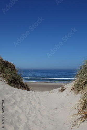 Über die Düne zum Strand der Nordsee in Dänemark