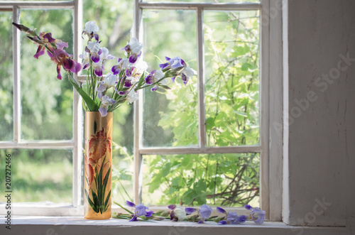 Fototapeta Naklejka Na Ścianę i Meble -  iris in vase on windowsill