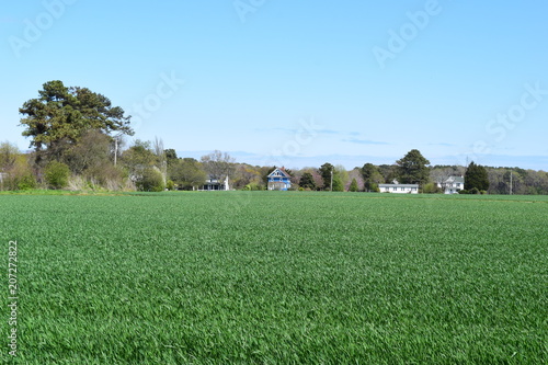 Farm Houses With Green Field and Blue Sky on Virginia Eastern Shore