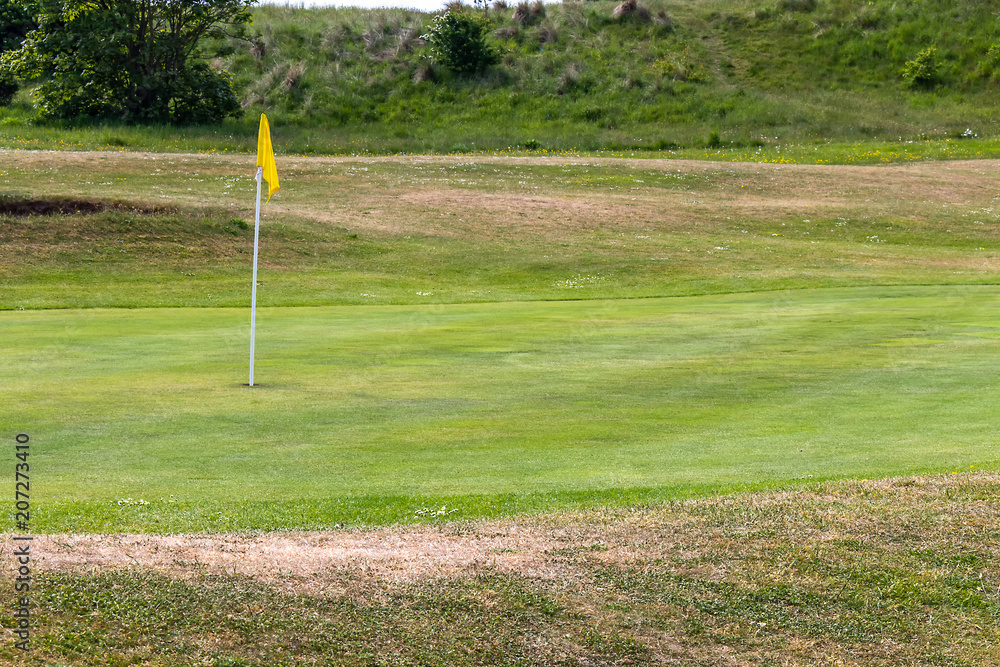Obraz premium golf pin on green