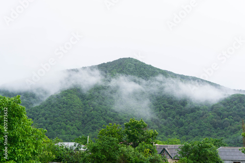 Fog moving over green mountain