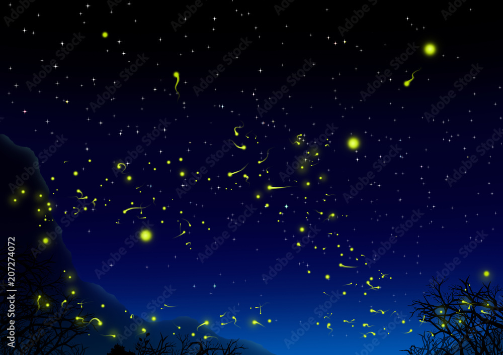 蛍の夜 蛍の夜
