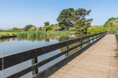 wooden bridge on lake © Mandy Jones