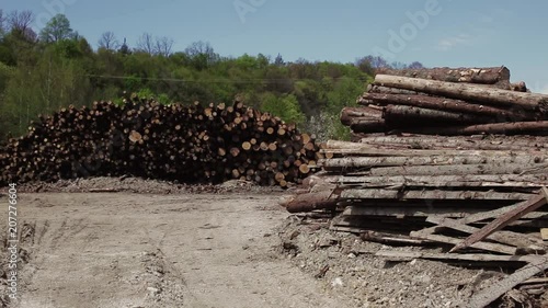 The Felled Logs Of The Trees In The Sawmill Are Stacked