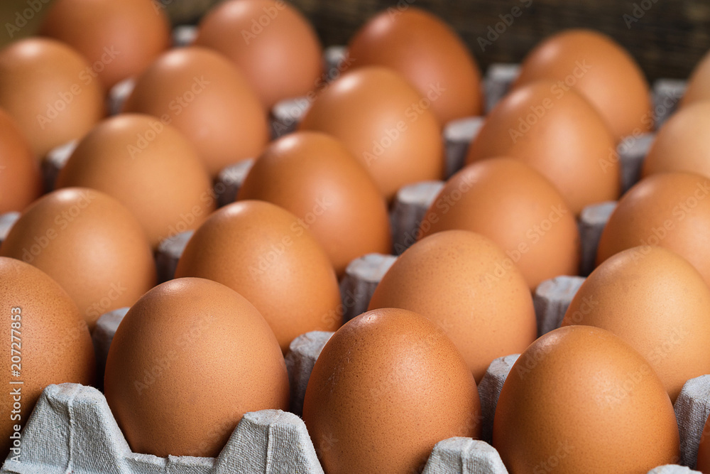 Chicken eggs lie on a substrate for eggs