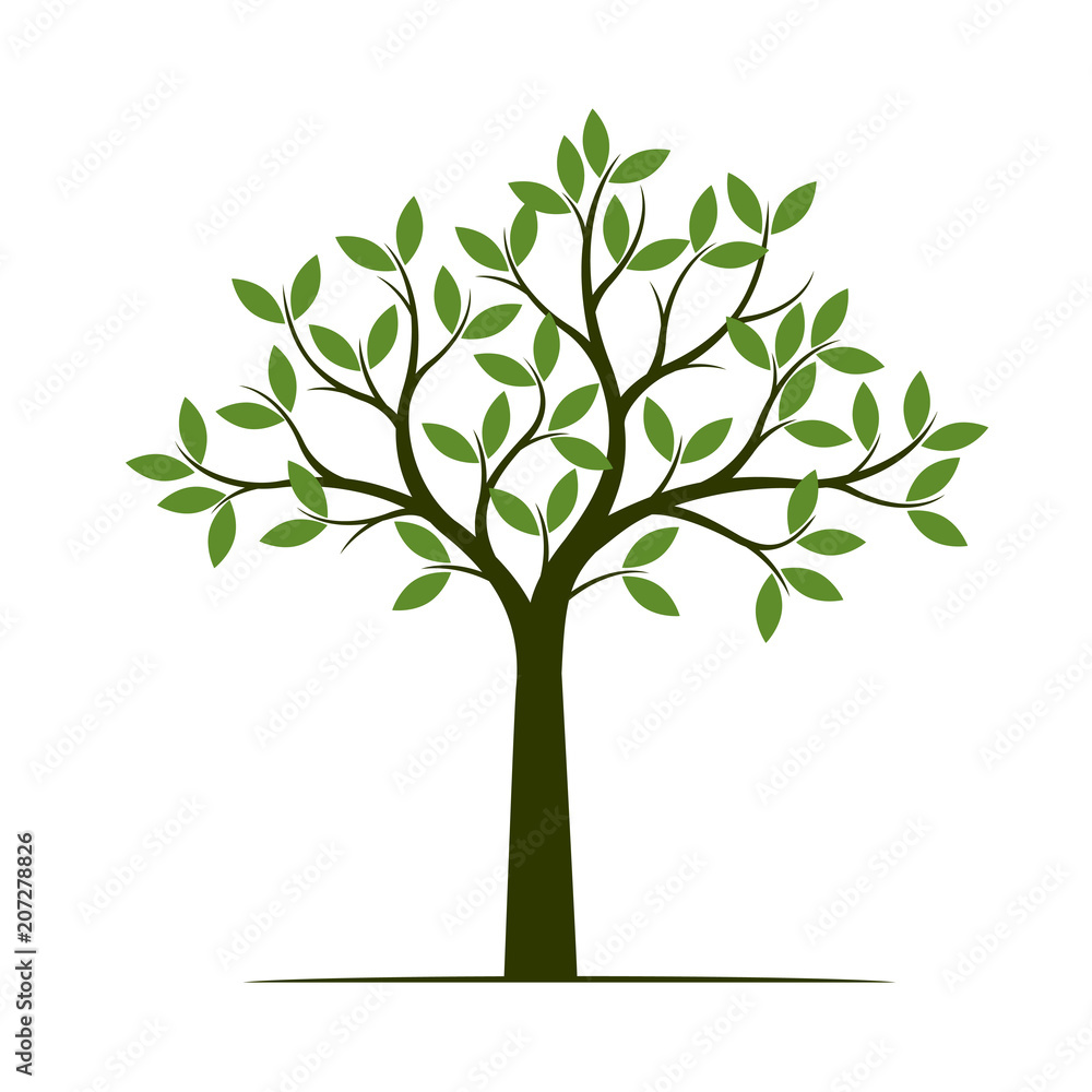 Green Spring Tree. Vector Illustration.