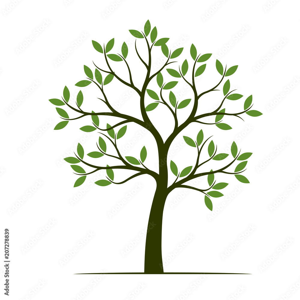 Green Spring Tree. Vector Illustration. Green Spring Tree. Vector Illustration.