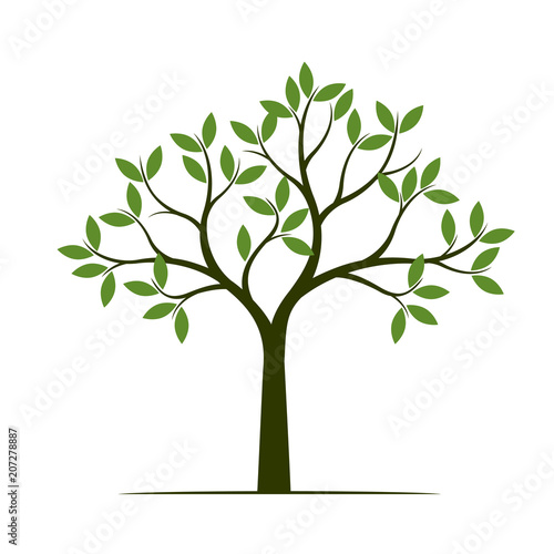 Green Spring Tree. Vector Illustration.