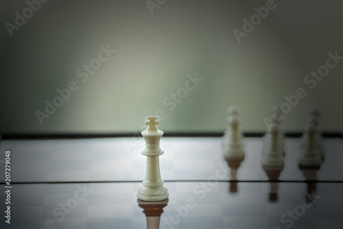 Chess on a Board of wood. nature background. game, strategy, management or leadership, business success concept .