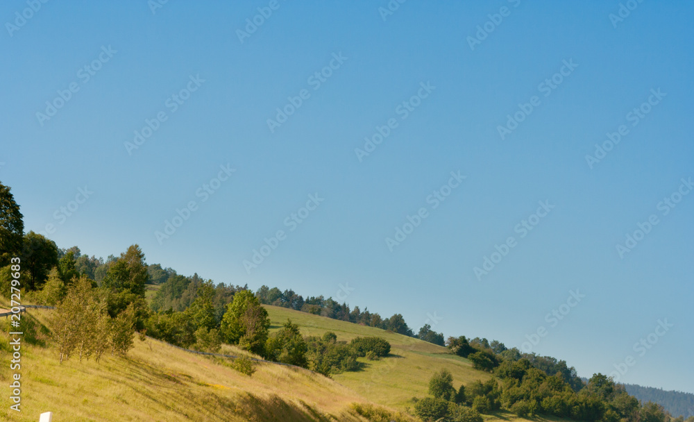 Green trees and bushes growing on a hill and blue sky in the background