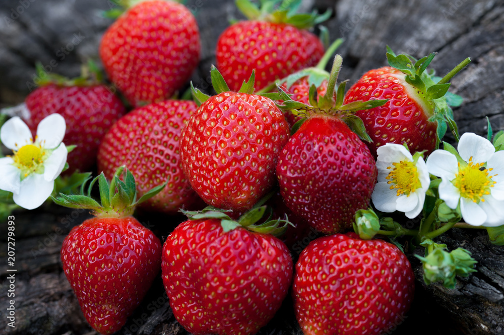 Strawberries lie on a wooden stump, minimalism, in nature. Old dark wood Strawberries lie on a wooden stump, minimalism, in nature. Old dark wood