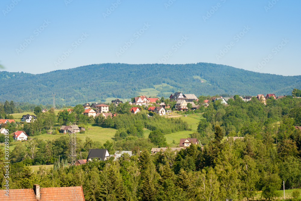 Houses among trees and shrubs located on the hill