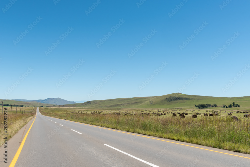 Farm landscape with bales of grass  between Kokstad and Cedarville