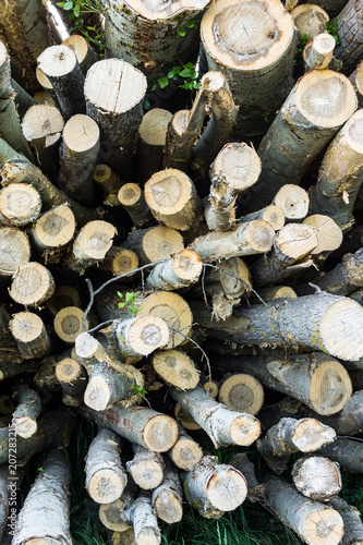 logs for logging