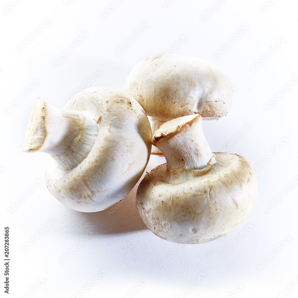 mushrooms champignons on a white background mushrooms champignons on a white background