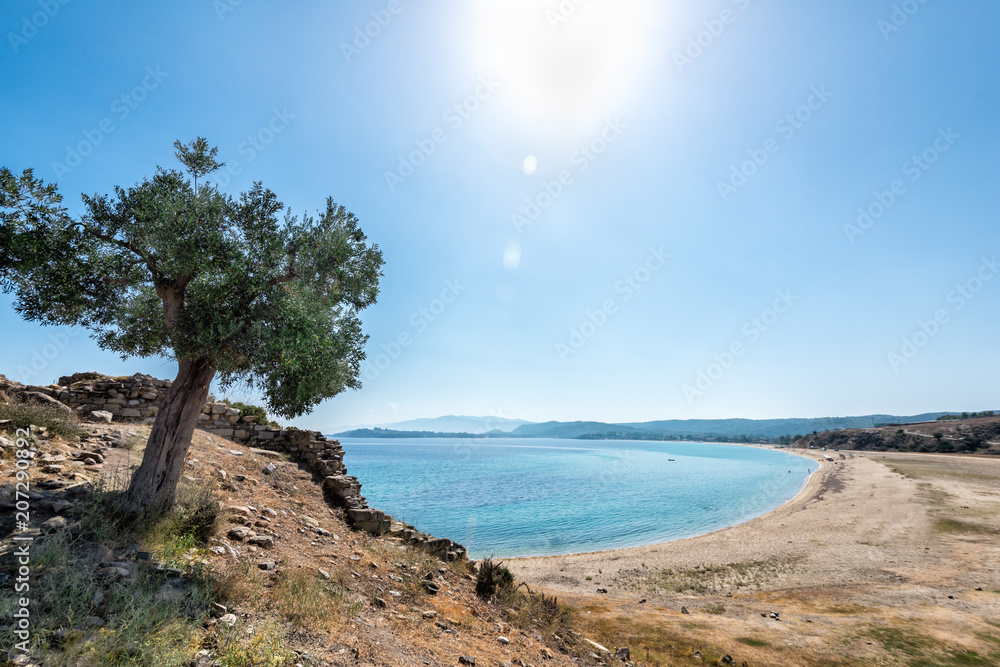 Beautiful scenery overlooking the sea. Greece. Sithonia. The Mediterranean Sea. Beautiful scenery overlooking the sea. Greece. Sithonia. The Mediterranean Sea.