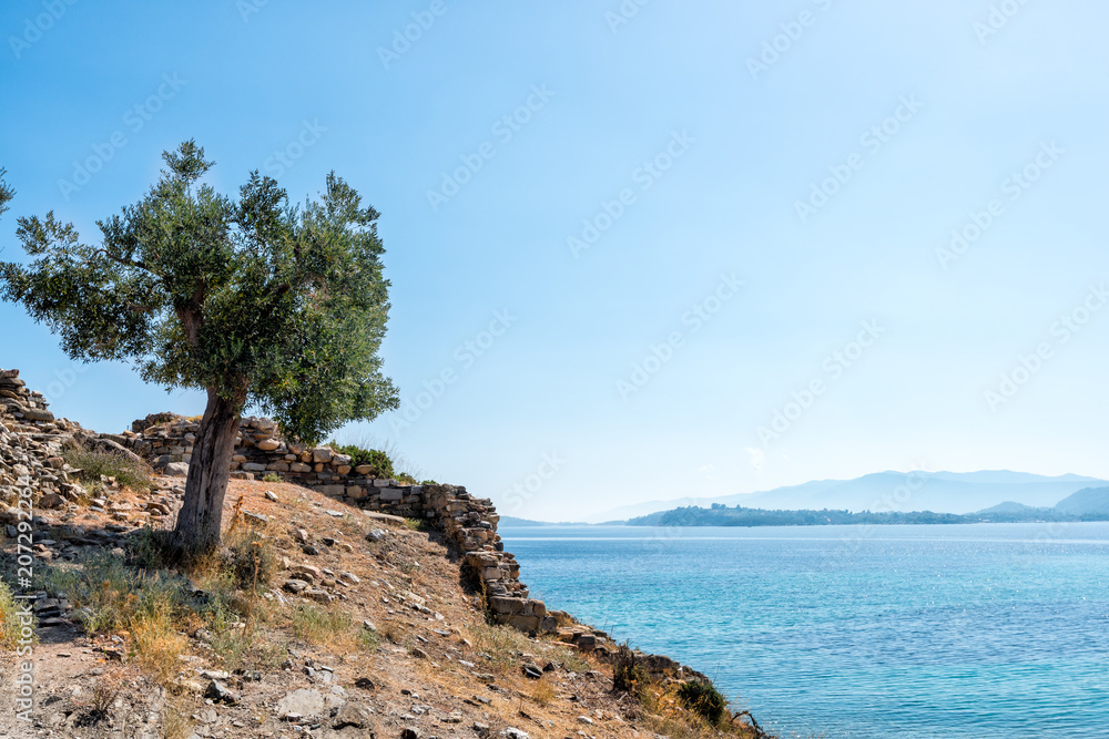 Beautiful scenery overlooking the sea. Greece. Sithonia. The Mediterranean Sea. Beautiful scenery overlooking the sea. Greece. Sithonia. The Mediterranean Sea.