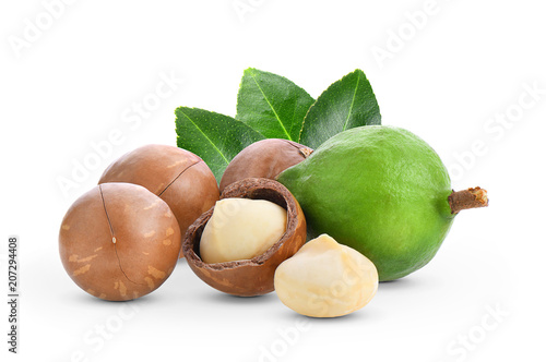 macadamia nuts with leaf isolated on white background. photo