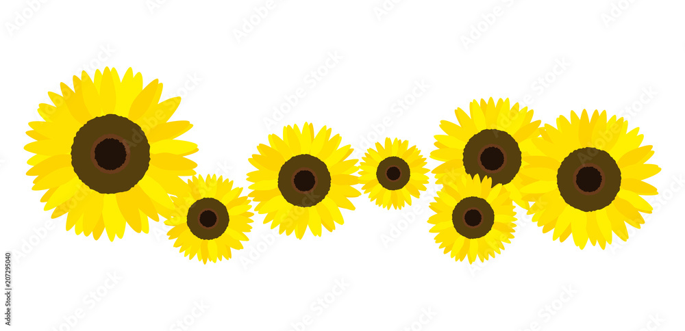 ひまわり イラスト Stock Vector Adobe Stock