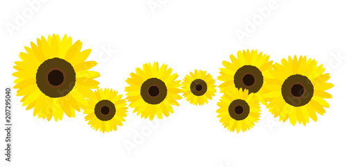 ひまわり イラスト Stock Vector Adobe Stock