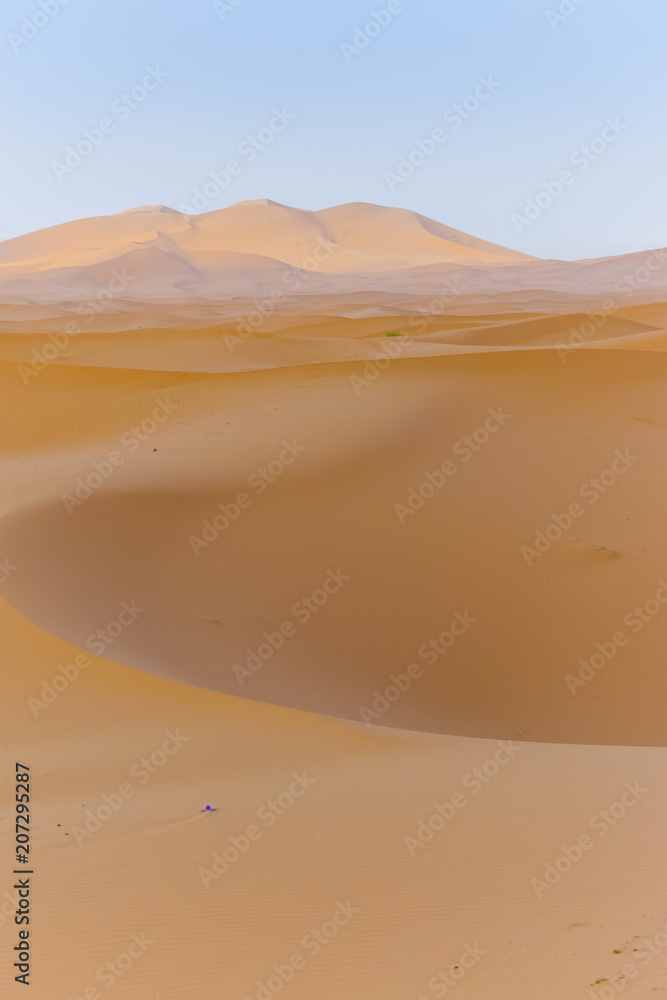 Dune Lanscape Dune Lanscape
