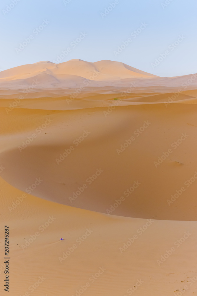 Dune Lanscape