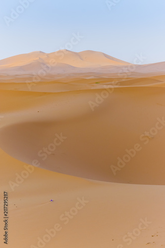 Dune Lanscape