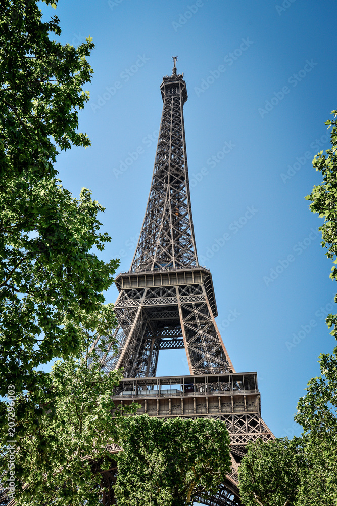 Eiffel Tower, view from Champ de Mars