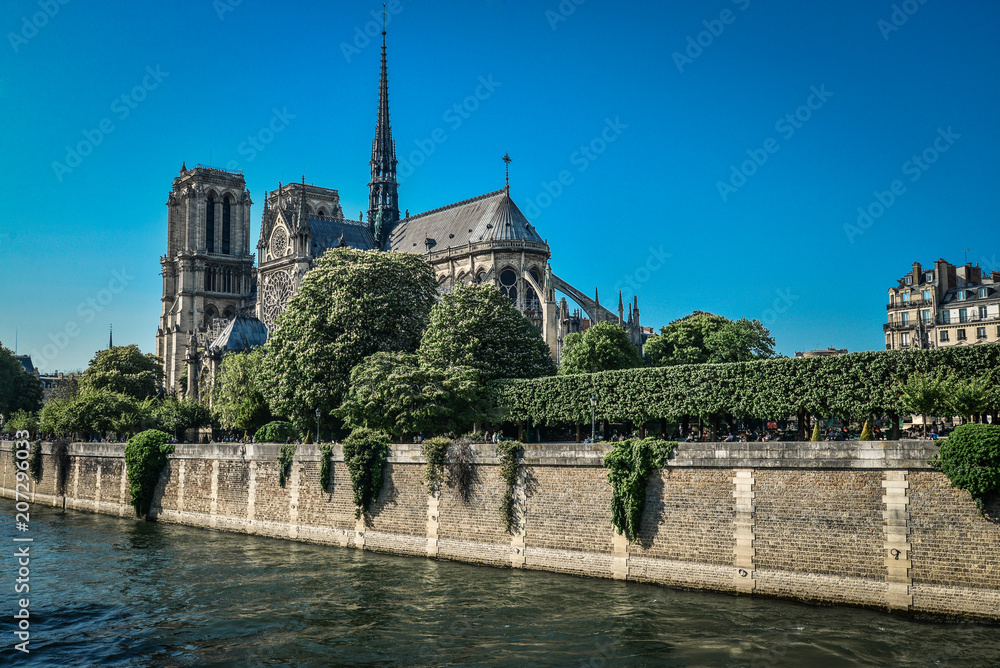 Naklejka premium Notre Dame de Paris cathedral