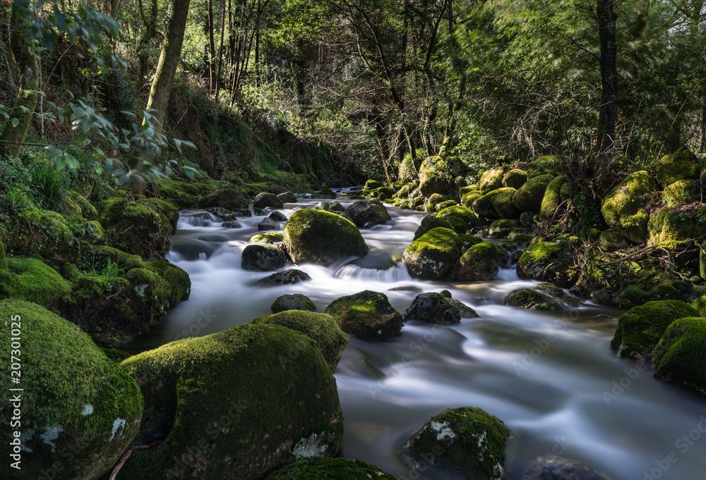 Light in the river