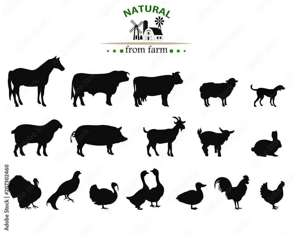 Vector farm animals silhouettes isolated on white. Stock Vector | Adobe ...