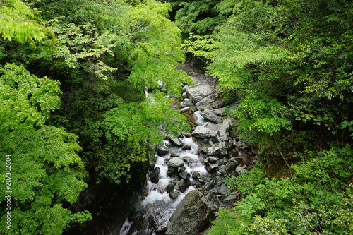 渓流