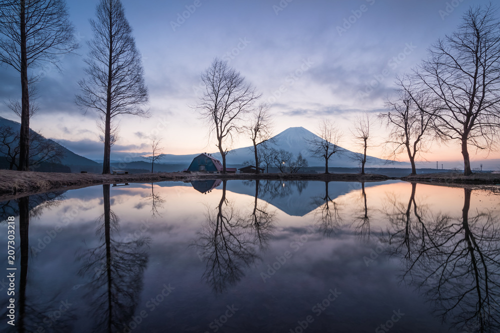 Mountain Fuji in the morning at Fumotopara camping ground, Fujinomiya , Shizuoka prefecture