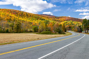 Empty highway road through colorful fall forest landscape in New England