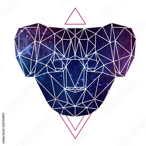 Abstract polygonal tirangle animal koala on open space background. Hipster animal illustration. photo