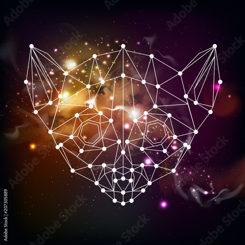 Abstract polygonal tirangle animal lemur on open space background. Hipster animal illustration. photo