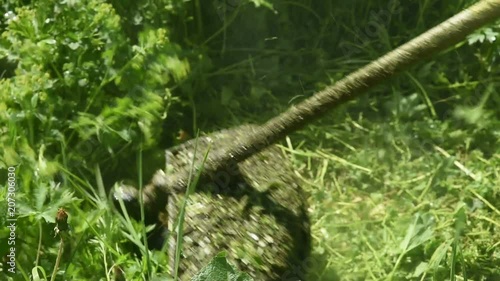 mow the grass with the trimmer