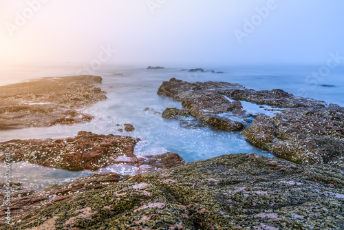 The reefs in the sea photo