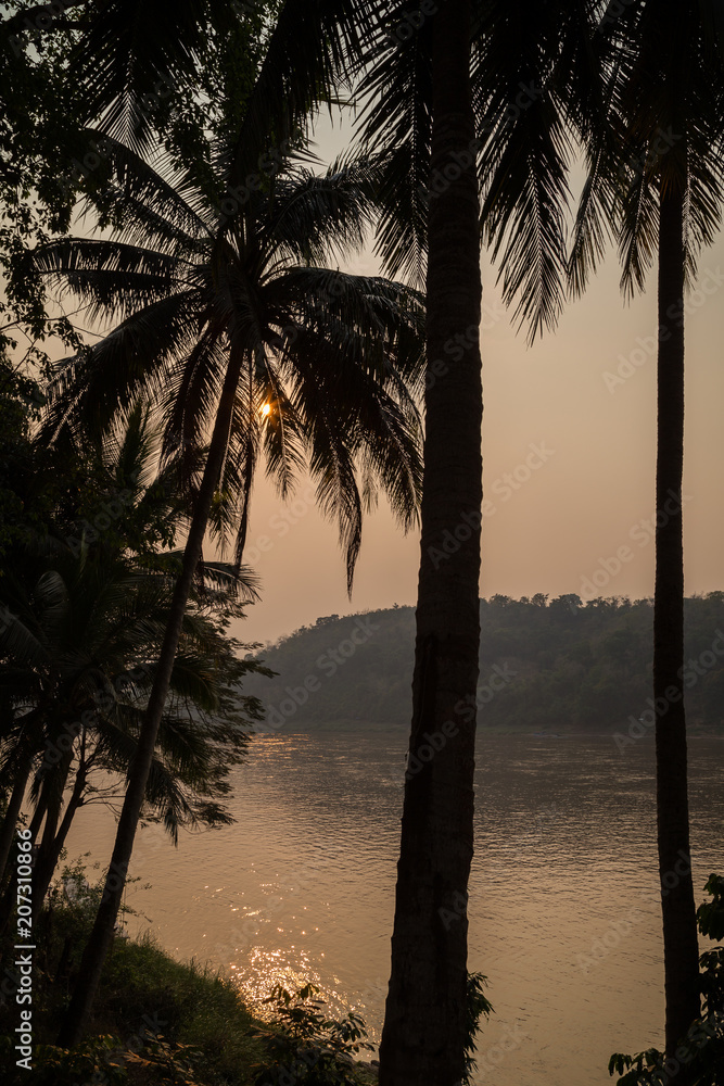 Silhouette of palm trees and Mekong River in Luang Prabang, Laos, at sunset.