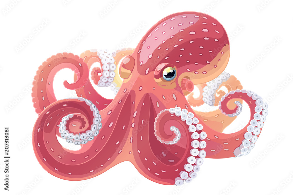 Naklejka premium vector cartoon octopus. Aquatic water underwater animal. Hand drawn sketch. Wildlife sea ocean life. Aquarium exotic element. Nature pattern. Maritime, marine illustration isolated white background