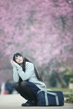 Japanese school girl dress sitting with sakura flower nature walkway