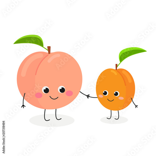 Vector illustration of cute cartoon peach and apricot