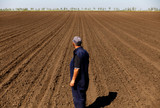 Senior farmer standing in field examining sowing.