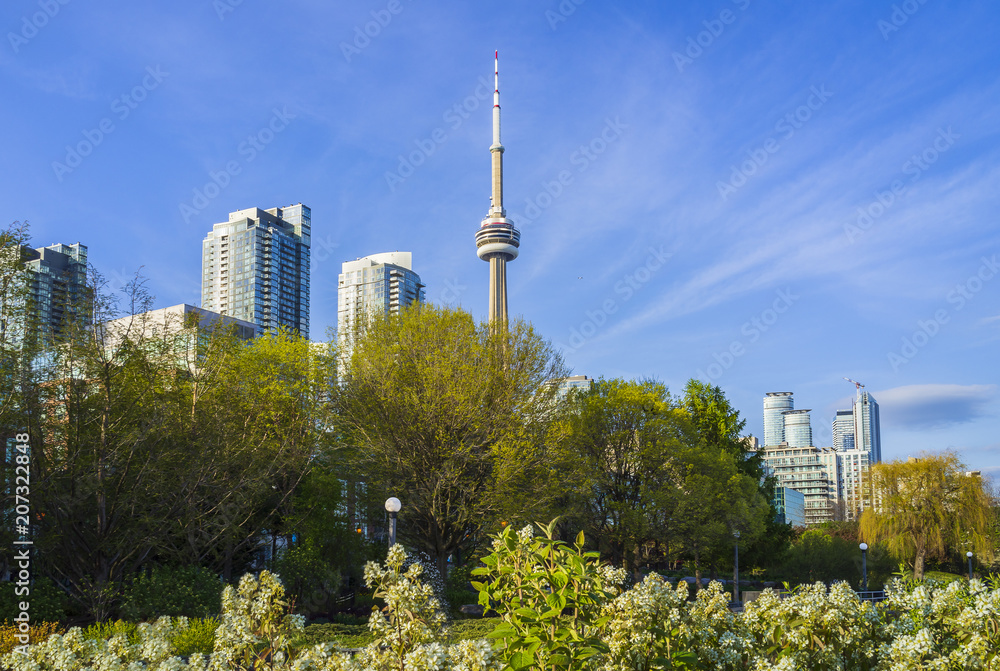 Toronto cityview landscape at Lake Shore Blvd West