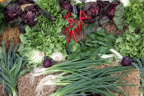 Garden harvest of homegrown produce photo