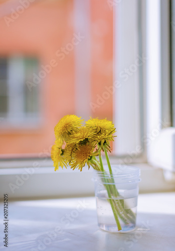 Fototapeta Naklejka Na Ścianę i Meble -  A bouquet of dandelions on the windowsill
