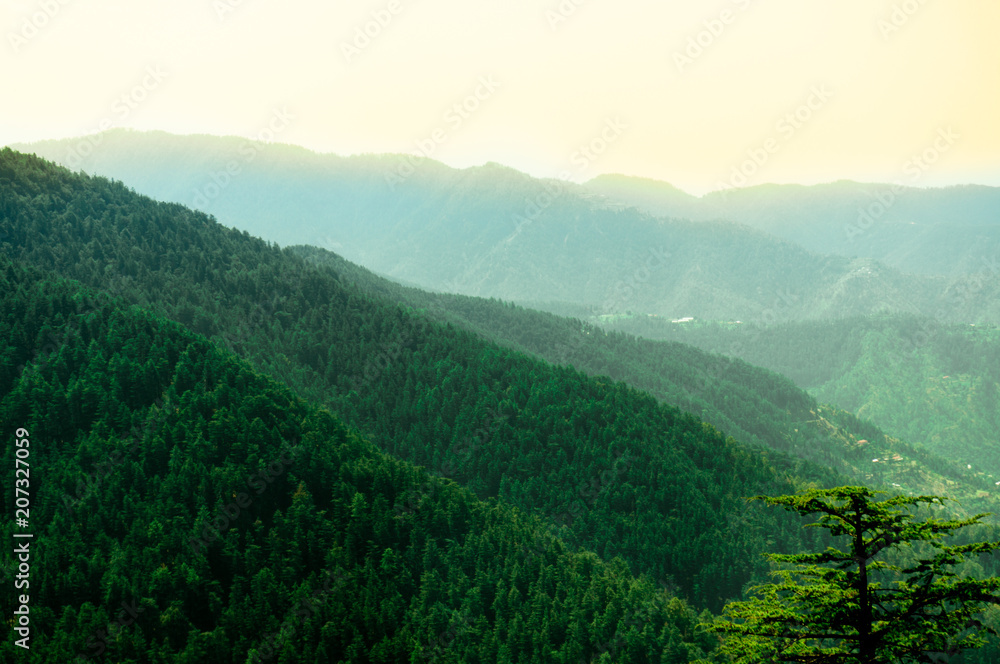 Himalayan range covered with trees fading off into the distance and covered with pine trees. Himachal pradesh has many such sights which makes it a tourist favorite for summer vacations Himalayan range covered with trees fading off into the distance and covered with pine trees. Himachal pradesh has many such sights which makes it a tourist favorite for summer vacations
