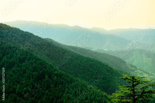 Himalayan range covered with trees fading off into the distance and covered with pine trees. Himachal pradesh has many such sights which makes it a tourist favorite for summer vacations