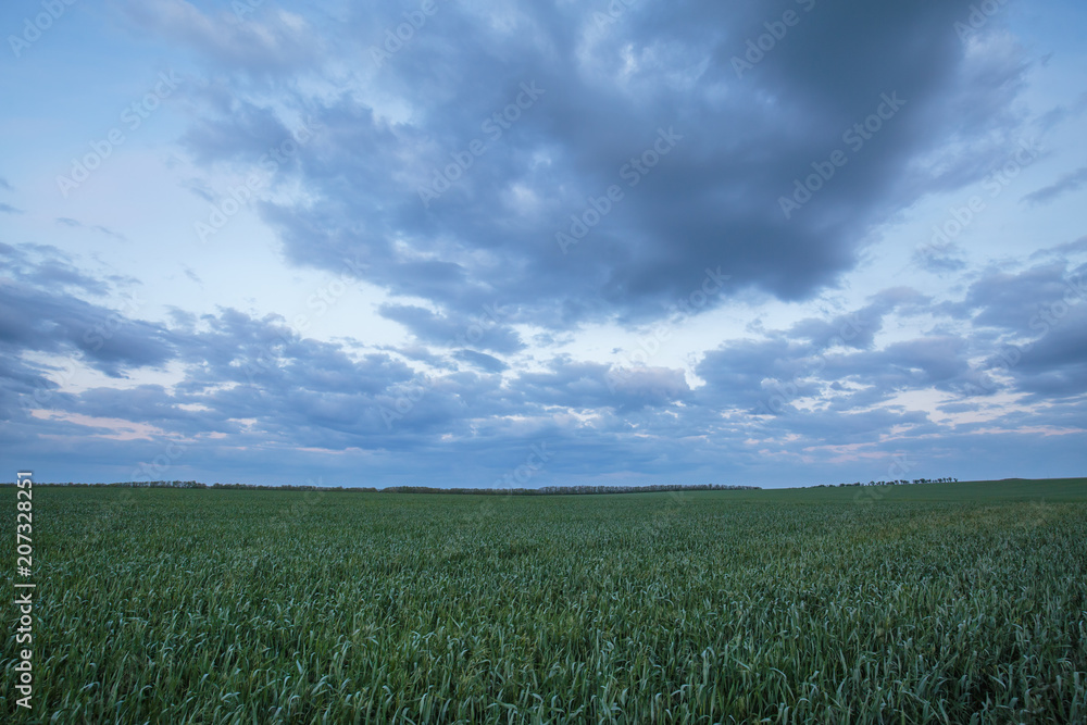 The movement of the thunderclouds over the fields of winter wheat in early spring in the vast steppes of the Don.